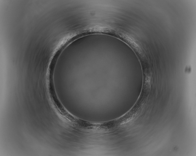 X0000091210678200708161543