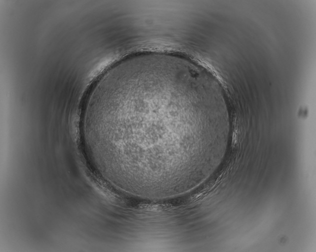 X0000091210679200708161543