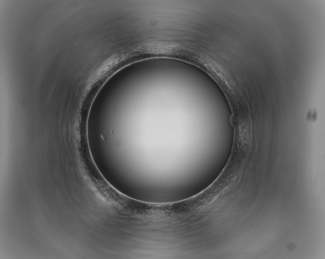 X0000091210682200708161543