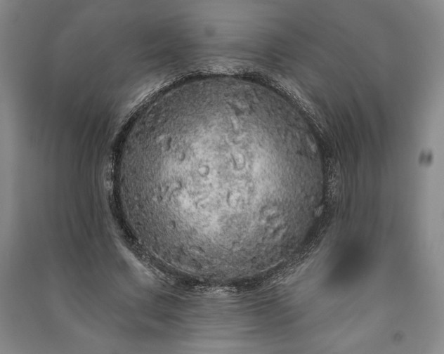 X0000091210683200708161543
