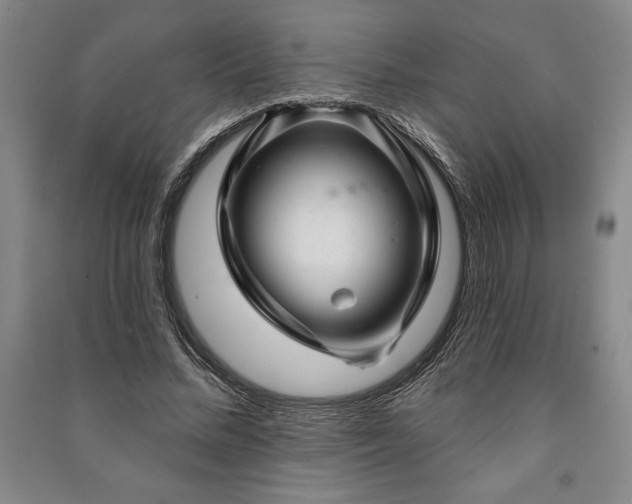 X0000091210684200708161543
