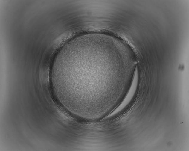 X0000091210685200708161543
