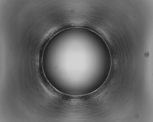 X0000091210686200708161543
