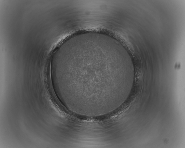 X0000091210688200708161543