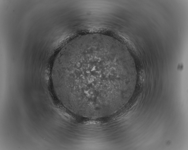 X0000091210691200708161543
