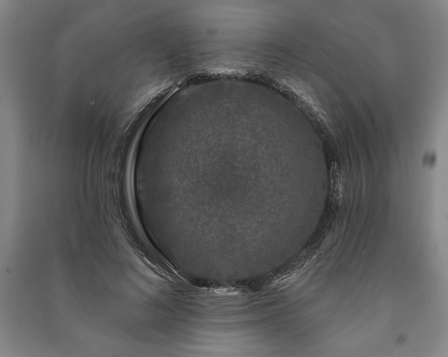 X0000091210692200708161543