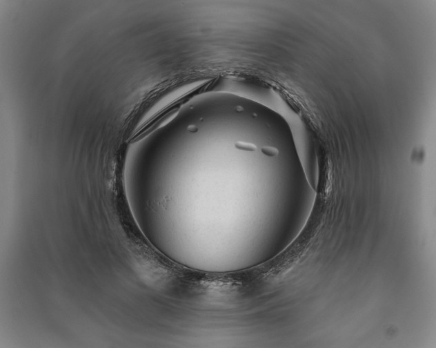X0000091210693200708161543