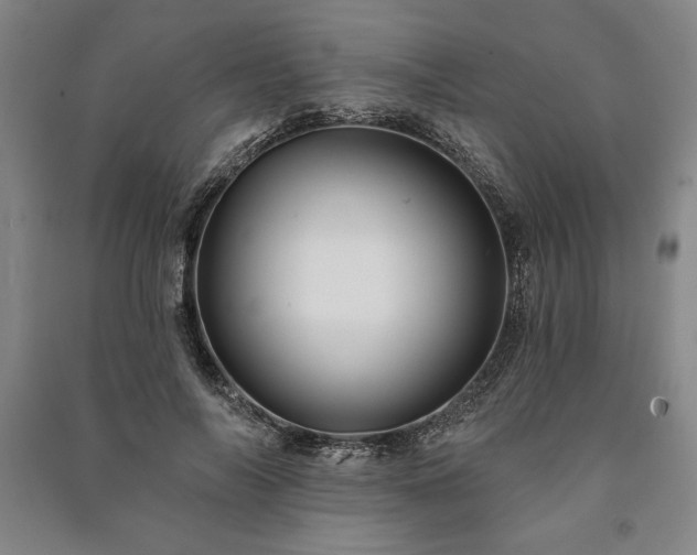 X0000091210694200708161543