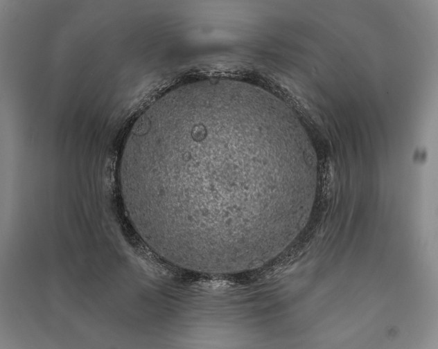 X0000091210695200708161543