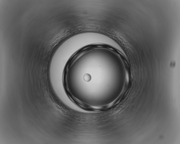 X0000091210696200708161543