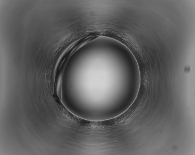 X0000091210697200708161543
