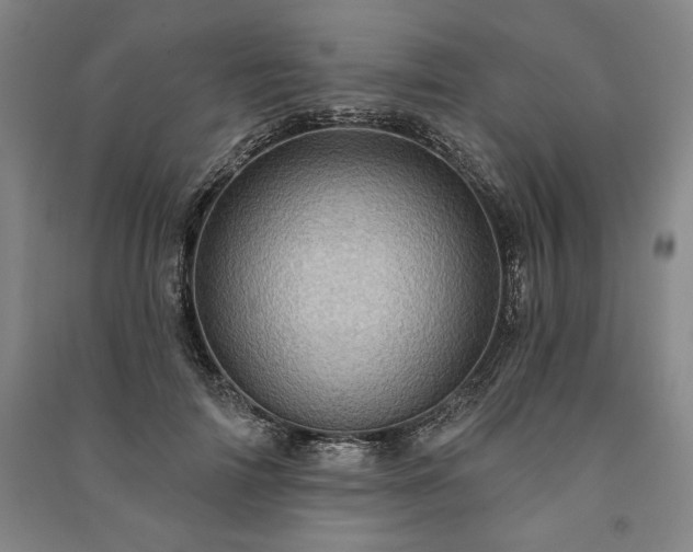 X0000091210698200708161543