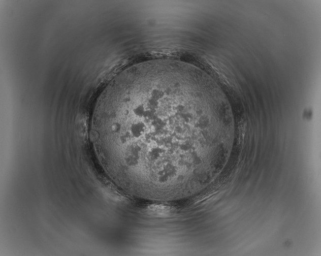X0000091210699200708161543