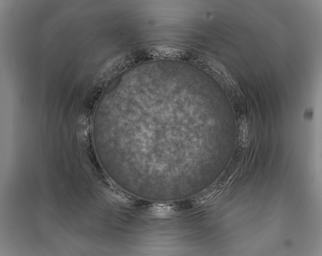 X0000091210701200708161543