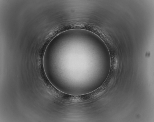 X0000091210704200708161543
