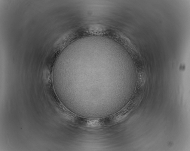 X0000091210705200708161543