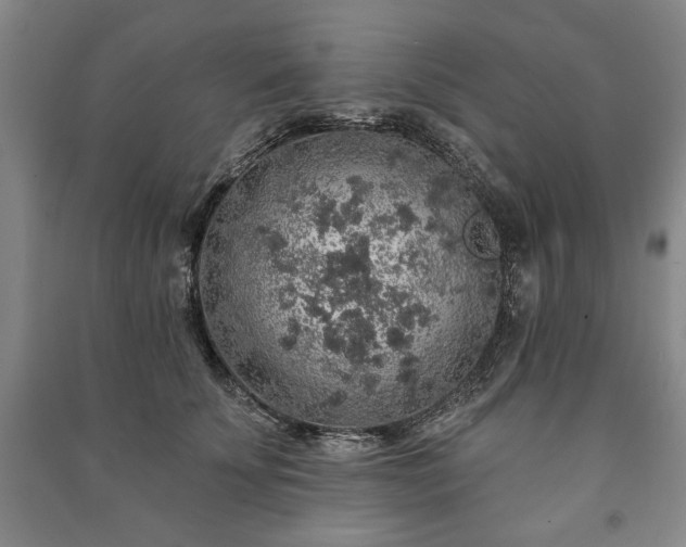 X0000091210707200708161543