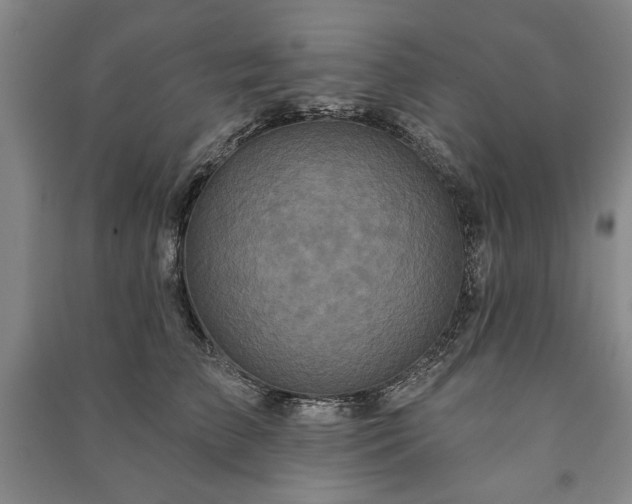 X0000091210709200708161543