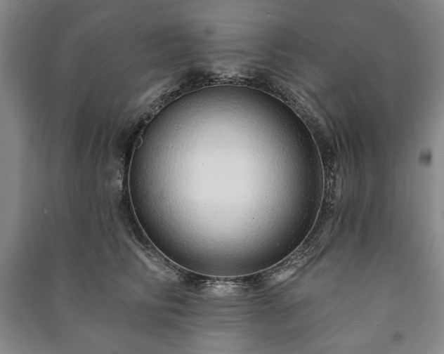 X0000091210710200708161543