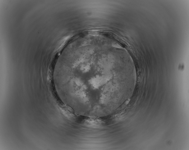 X0000091210712200708161543
