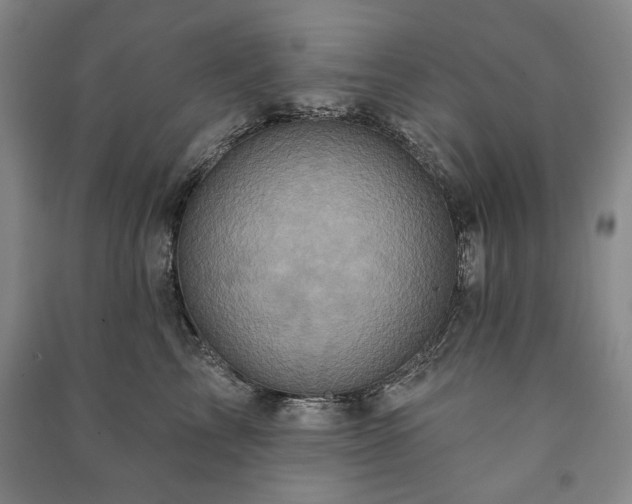 X0000091210713200708161543