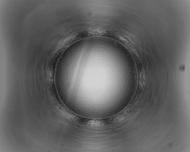 X0000091210714200708161543