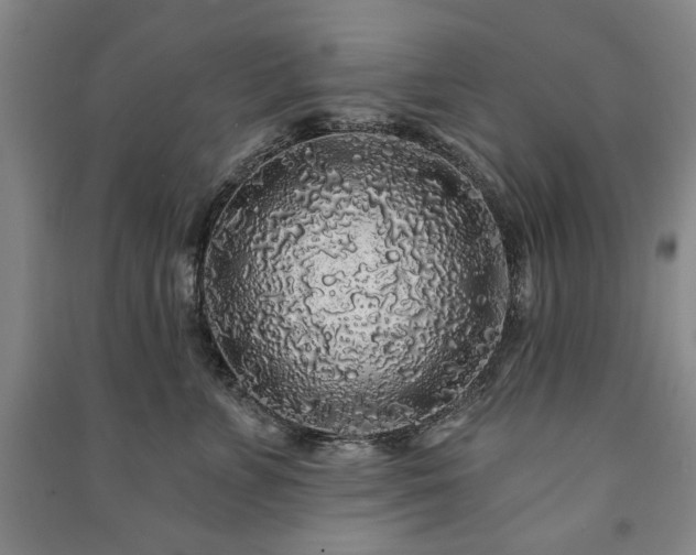 X0000091210715200708161543