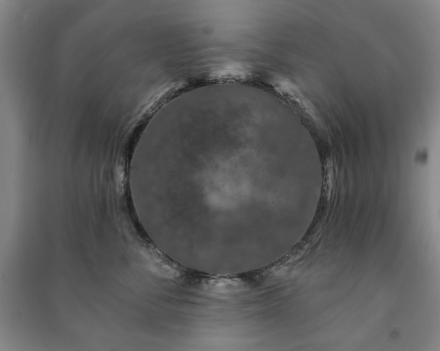 X0000091210716200708161543