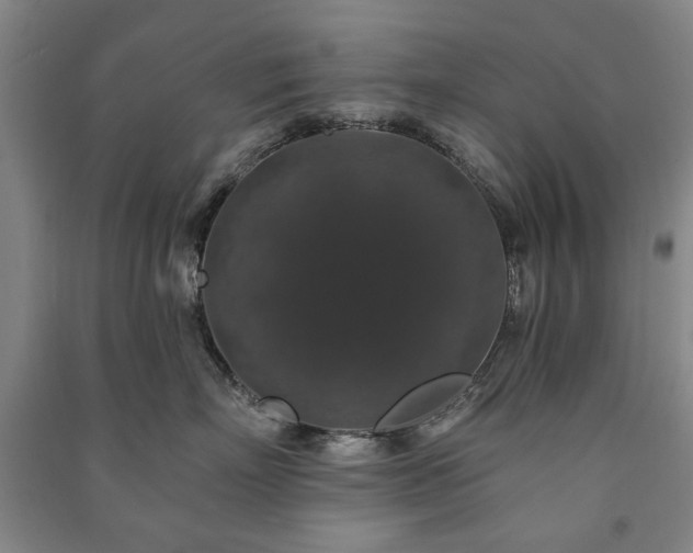 X0000091210718200708161543