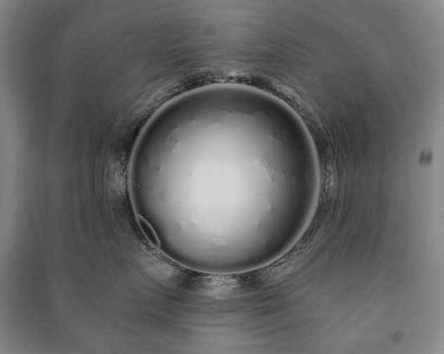 X0000091210719200708161543