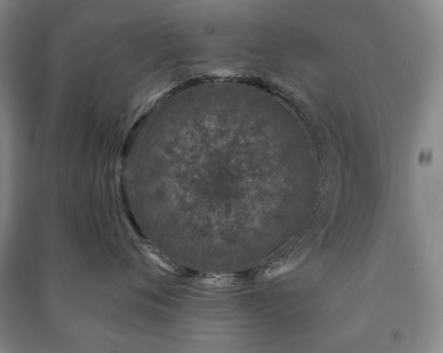 X0000091210720200708161543