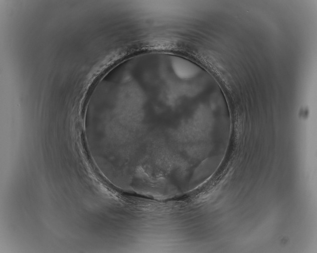 X0000091210721200708161542