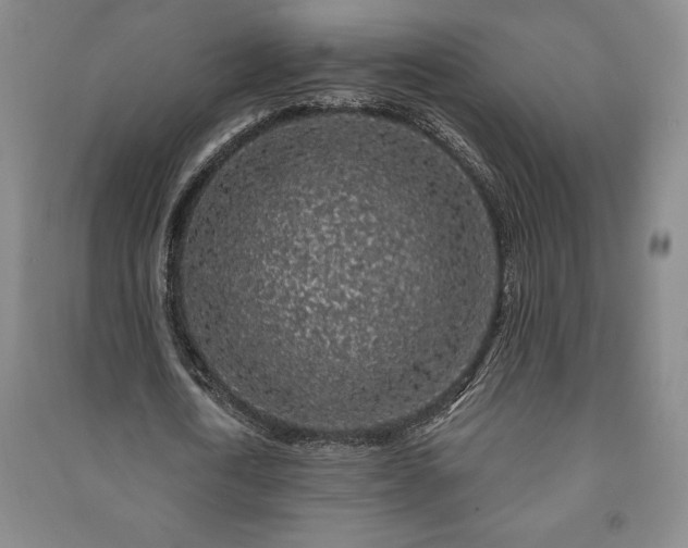 X0000091210722200708161542