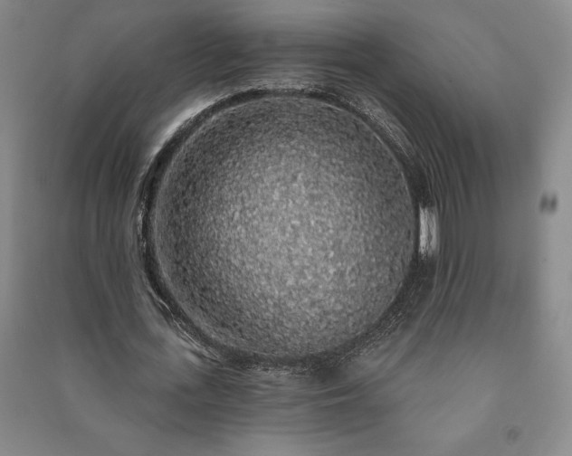 X0000091210723200708161542