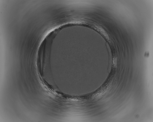 X0000091210724200708161542