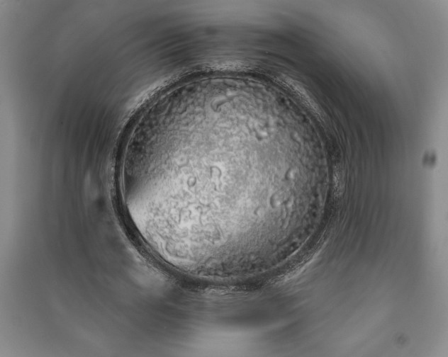 X0000091210725200708161542
