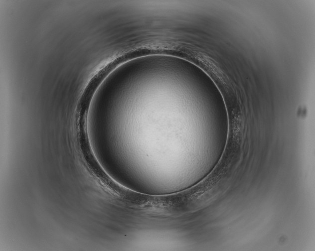 X0000091210727200708161542
