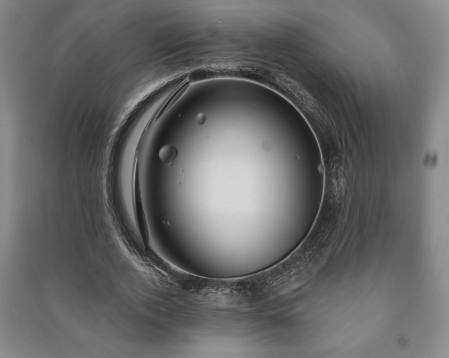 X0000091210728200708161542