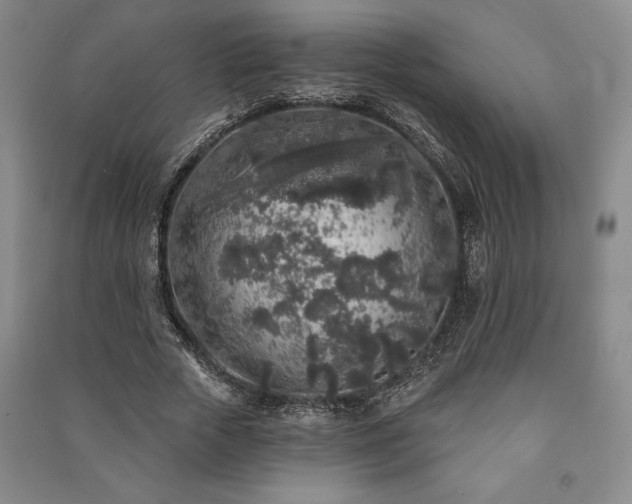 X0000091210729200708161542