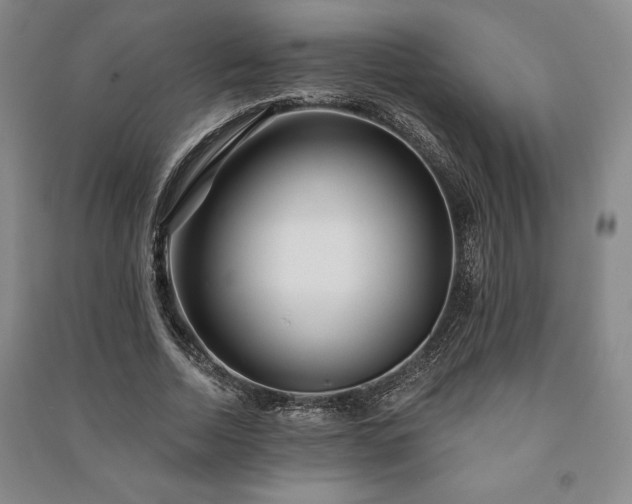 X0000091210730200708161542
