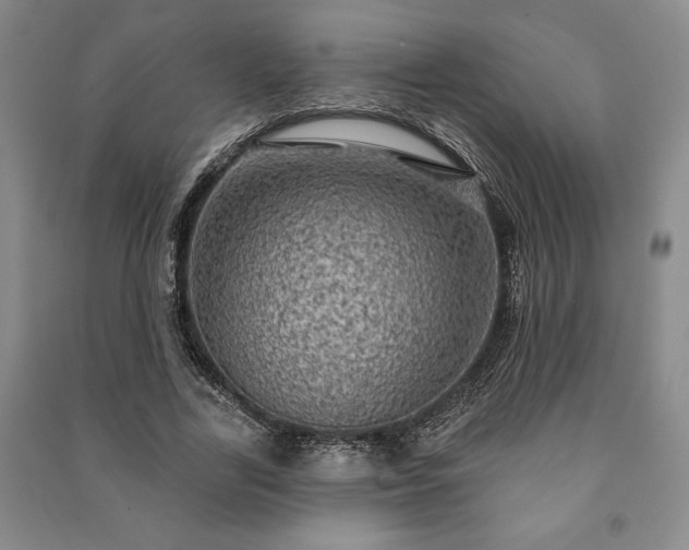 X0000091210731200708161542