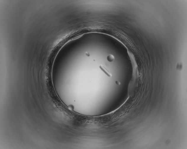 X0000091210732200708161542