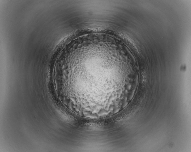 X0000091210733200708161542