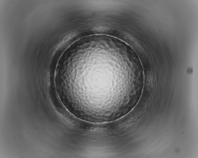 X0000091210734200708161542
