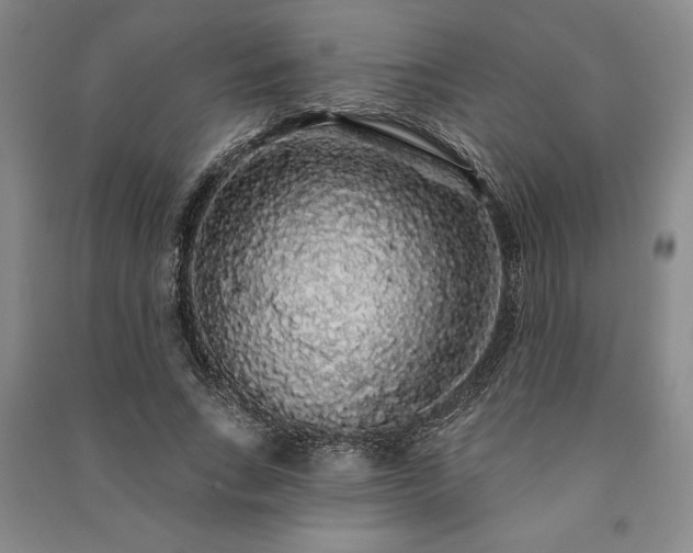 X0000091210735200708161542
