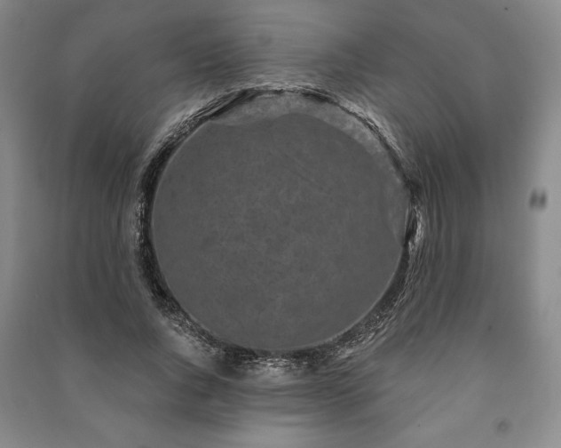 X0000091210736200708161542
