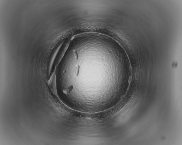 X0000091210737200708161542