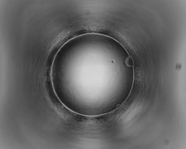 X0000091210738200708161542