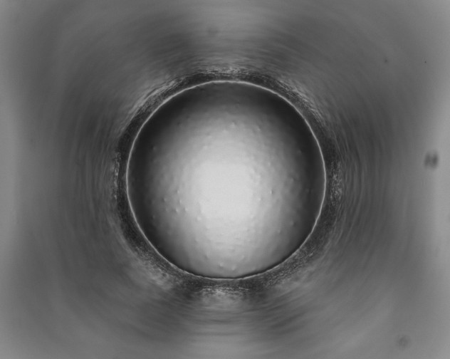 X0000091210739200708161542