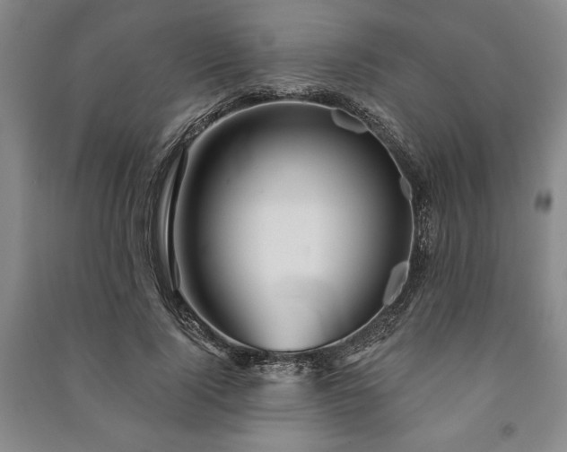 X0000091210740200708161542